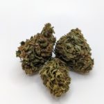 Lifter Kamino CBD
